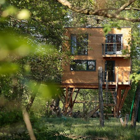 Domek Na Drzewie W Dolinie Uradu Εξωτερικό φωτογραφία